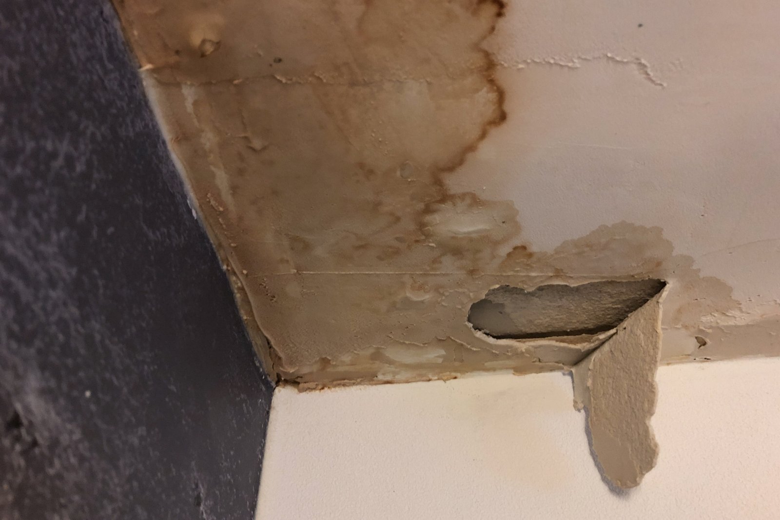 Roof Leak Prevention